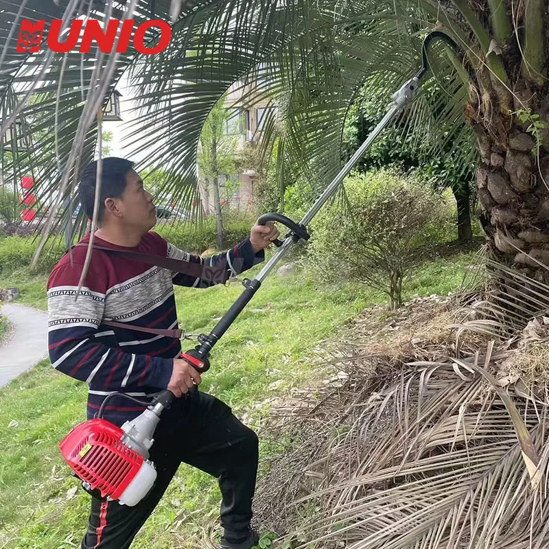 3m  Long Pole Palm Oil Fruit Nut Harvester Machine 55cc Palm Tree Cutter