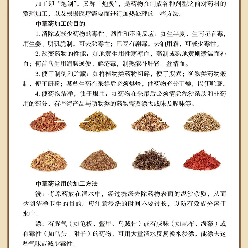 Everyday Chinese Herbal Diet: Complete Food Therapy & Wellness Guide | Natural Healing Recipes for Disease Prevention
