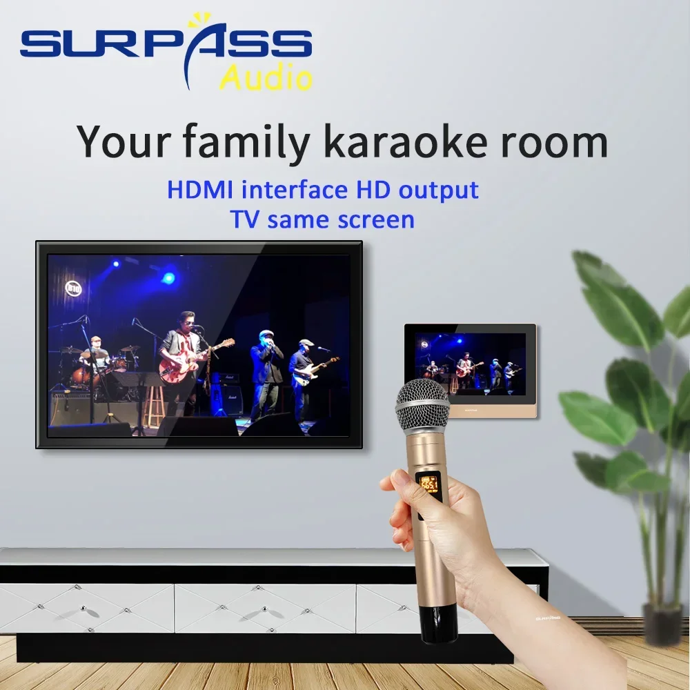 Smart Home Android Bluetooth WiFi amplificador de pared Audio PA altavoz de techo Coxial micrófono inalámbrico Karaoke estéreo música Combos