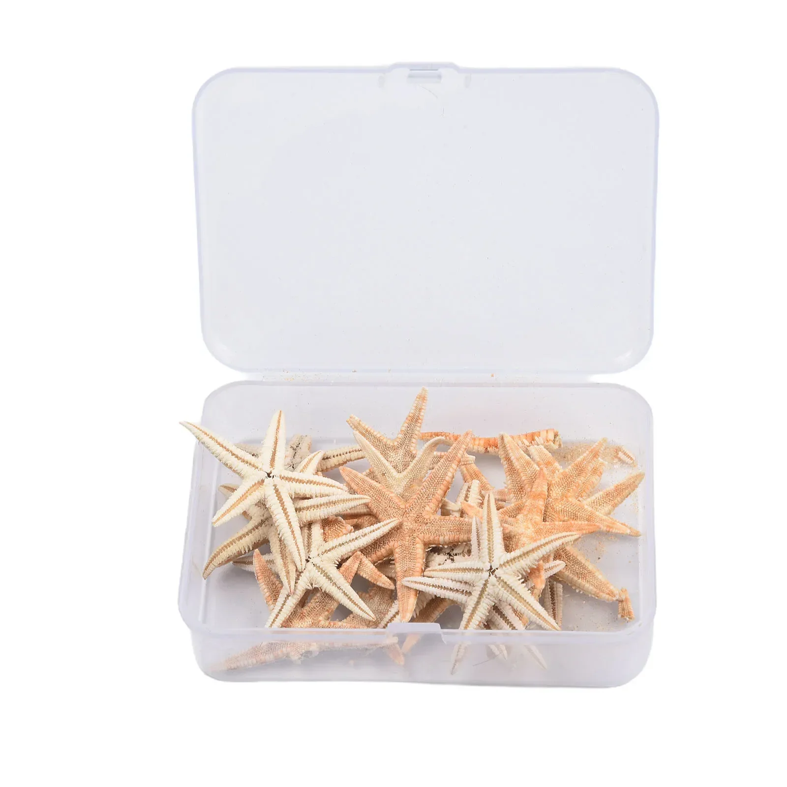 20/50/100Pcs Natural Starfish Box Decoration Fish Tank Tiny Size1-5cm Landscape Materials DIY Beach Crafts Home Decoration