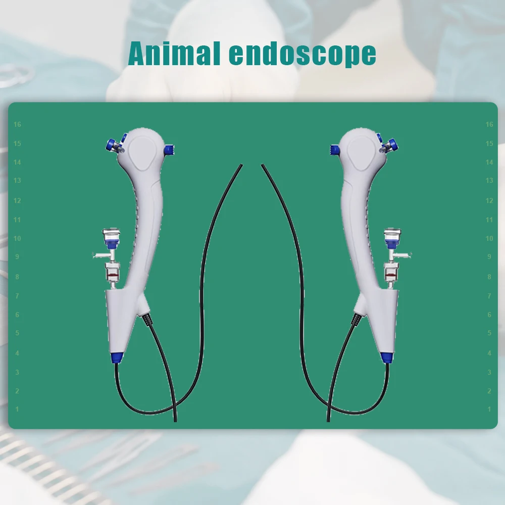 Рисунок 3 - ЛОР-портативный ветеринарный эндоскоп