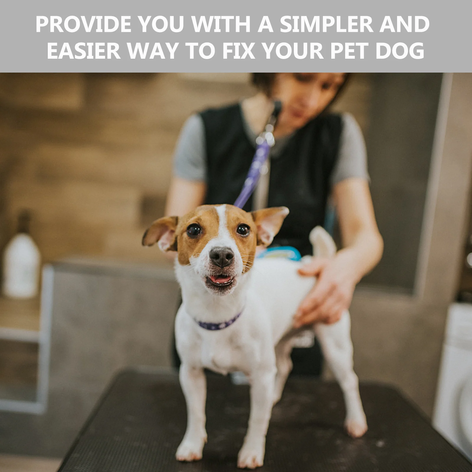 

2pcs Dog Grooming Table Adjustable Beauty Bracket Accessories Pet Bath Hanging Ropes Dog Cat Restraint Ropes Pet Grooming Supply