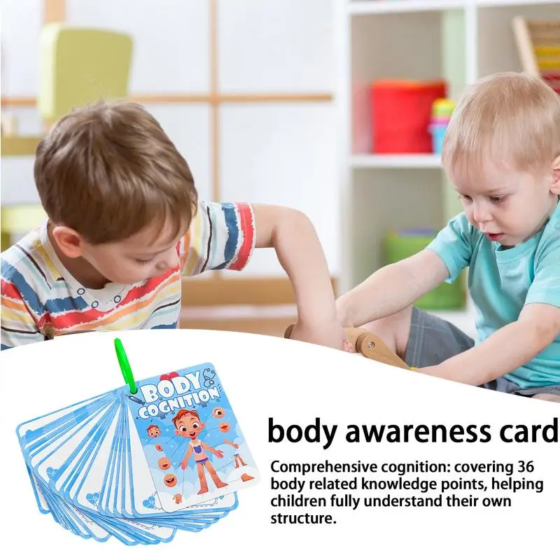 Body Parts Learning For Kids 36X Body Parts Teaching Cards 3 Years Old Education Teaching Materials Kindergarten Cognitive Card