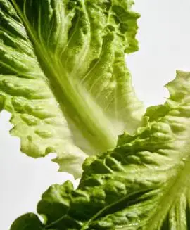 

Роскошная регулируемая электрическая косметологическая кушетка с 4 моторами, функцией подогрева и наклона для современных салонов красоты, медицинских кабинетов, спа и массажных кабинетов