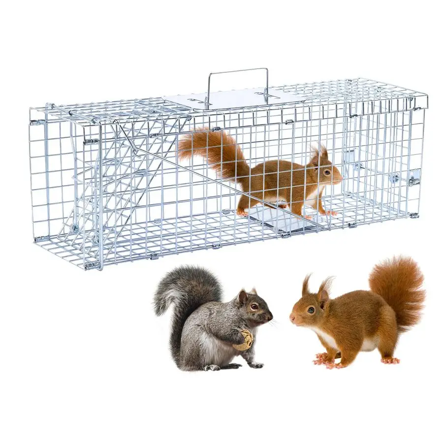 

Humane Animal Trap Live Animal Trap Cage for Squirrels Small Stray Cats Rabbits Groundhogs Moles Gophers and Chipmunks up to 5.5