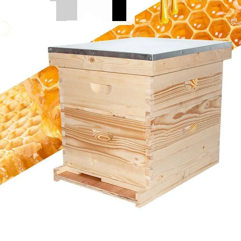 Bee Hive Kit Beekeeping Equipment Wooden Beehive