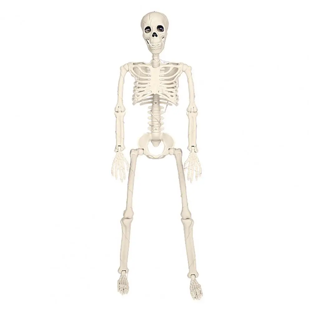 Poseable Skeleton Realistic Halloween Skeleton Yard Decorations for Haunted House Garden Spooky Bone for Outdoor for Halloween