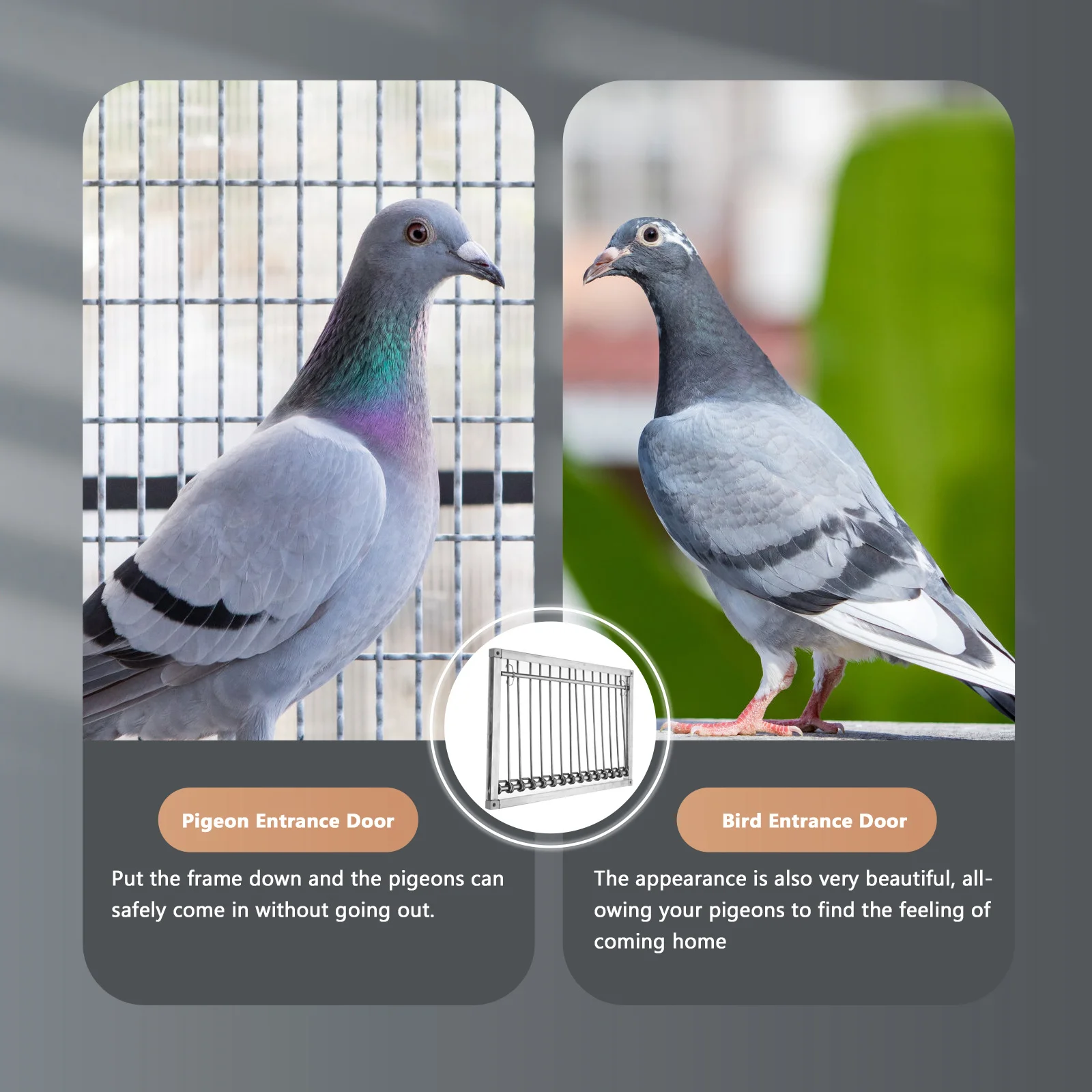 

Stainless Steel Pigeon Cage Door Heavy Duty Bird Entrance for Dovecote Automatic Chicken Coop Door Pigeon House Trap Supply