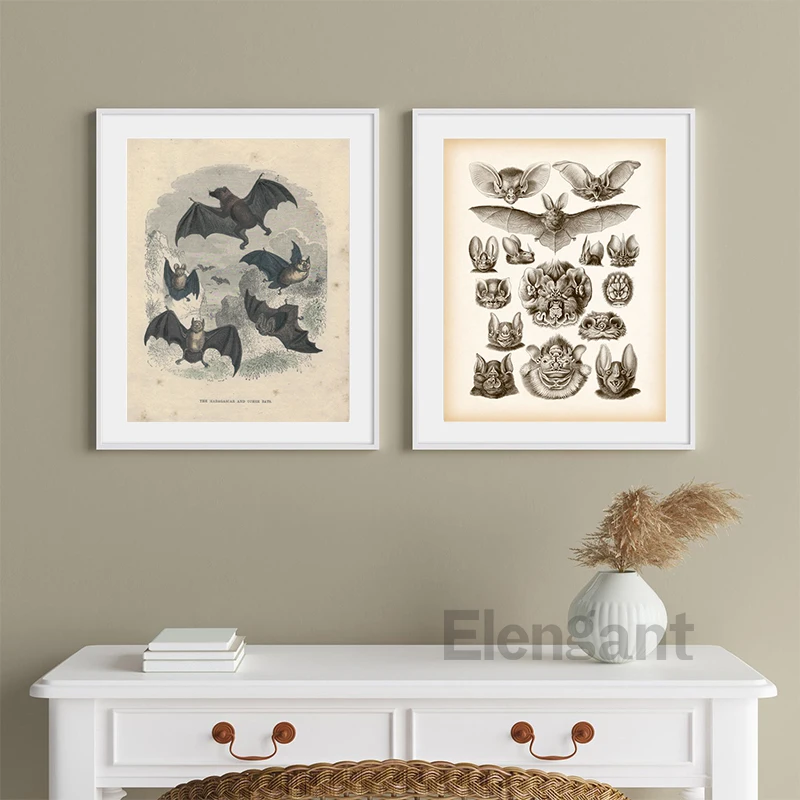 Retro Bat Animal Canvas Printing Dark Academy Antique Bat Halloween Wall Art Poster Picture for Living Room Bedroom Home Decor