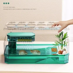 Turtle Tank Home Turtle Ecological Tank With Basking Platform Brazilian Turtles Special Tank Turtle Breeding Tank Aquascape Rept