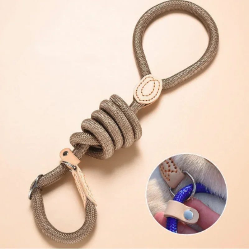 Braided Rope Slip Dog Leash 6