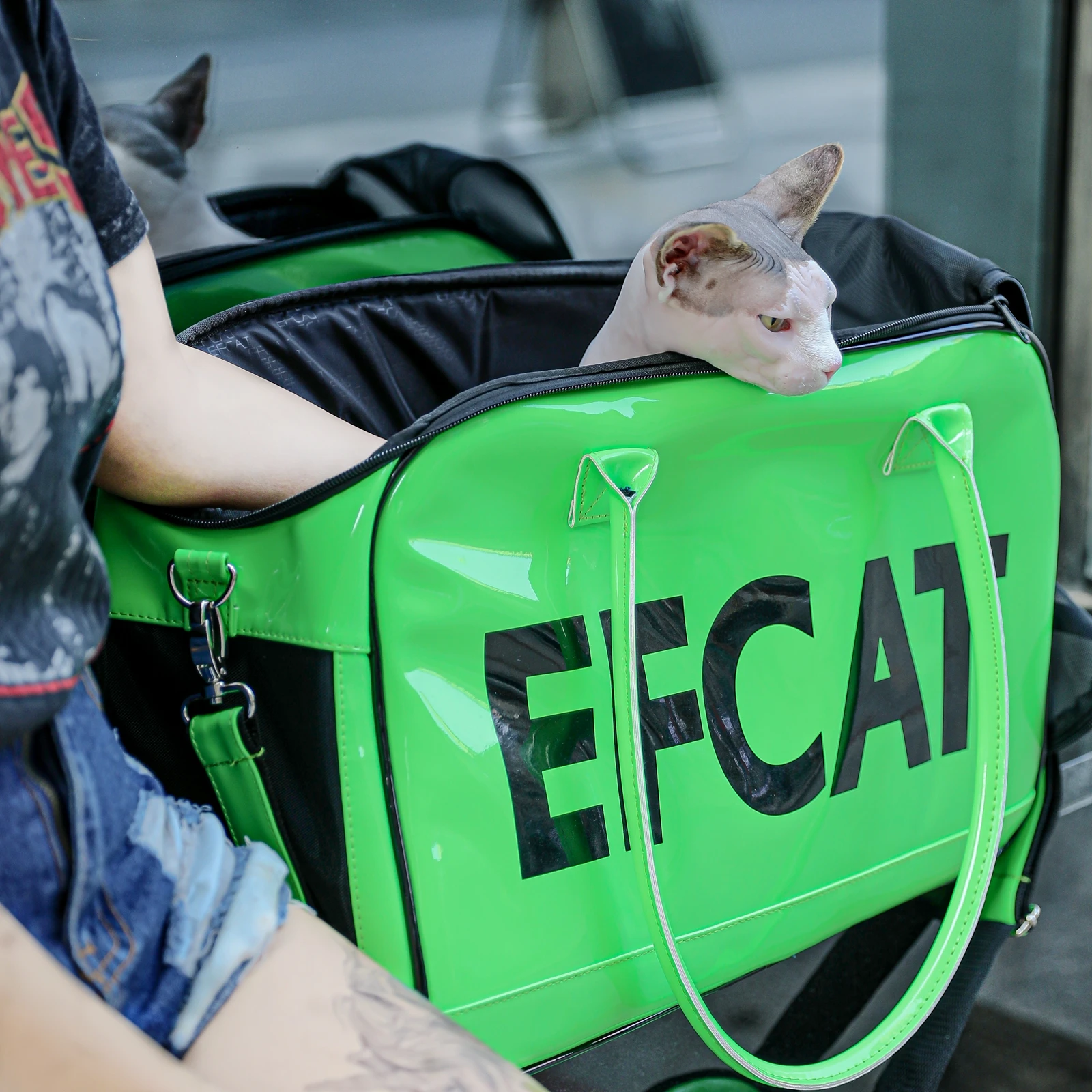 Borsa da trasporto per cani di grandi dimensioni per cani borsa da trasporto in argento per trasporto di cuccioli di gattino