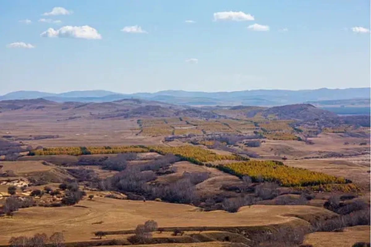 

Приемник FOXEER ELRS FPV Micro для дальних полетов, 2.4ГГц 915/868МГц, Nano RX для FPV дронов дальнего радиуса действия Mobula7 Mobula6