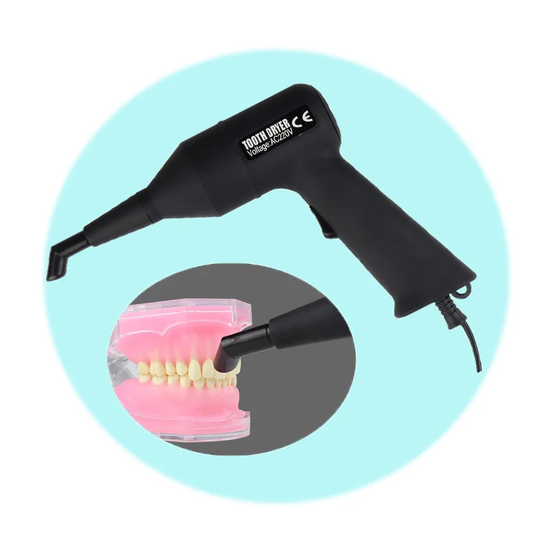 

Oral Orthodontics Lab Tooth Dental Dryer Tooth Dryings Equipment with 2 Nozzle Tips/ Lab Quick Drying Machine Drying Machine