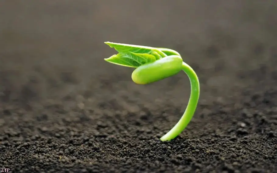 

For Land Rover Range Rover Discovery Sport Freelander 2015-2019 Android Car Radio Multimedia Player GPS Navigation HeadUnit