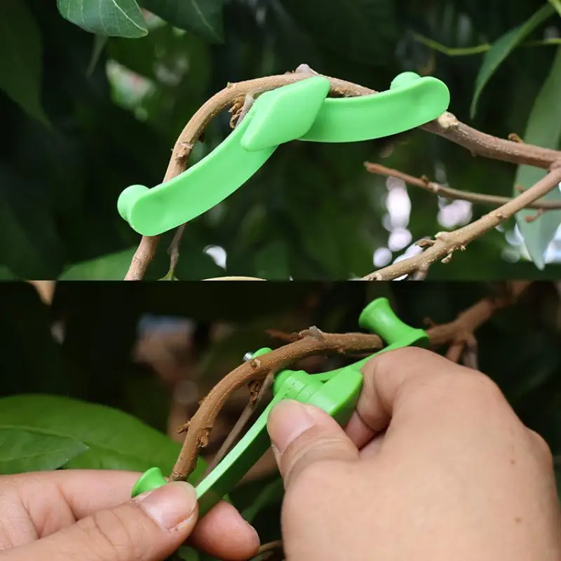 5Pcs/Set Tree Bendi…