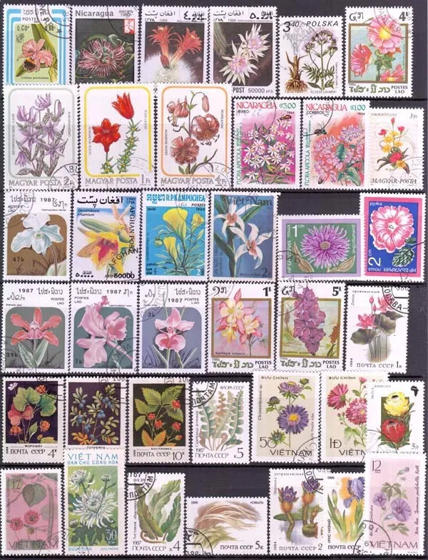 50 100 Pcs/Lot Flowers Plants Topic Stamps World Original Postage Stamp with Postmark Good Condition All Different