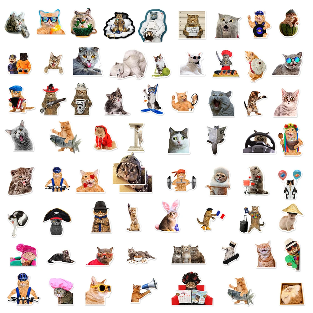 10/30/66Pcs น่ารักตลก MEME สติกเกอร์รูปแมว Kawaii การ์ตูนสัตว์ Decals แล็ปท็อปกระเป๋าเดินทางรถจักรยานยนต์โน้ตบุ๊คสติกเกอร์กันน้ำ