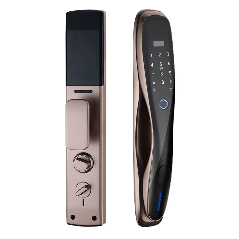 Biometric Face Recognition Keyless Security Hotel Electric Smart Door Lock Remote Unlock Apartment Door Lock