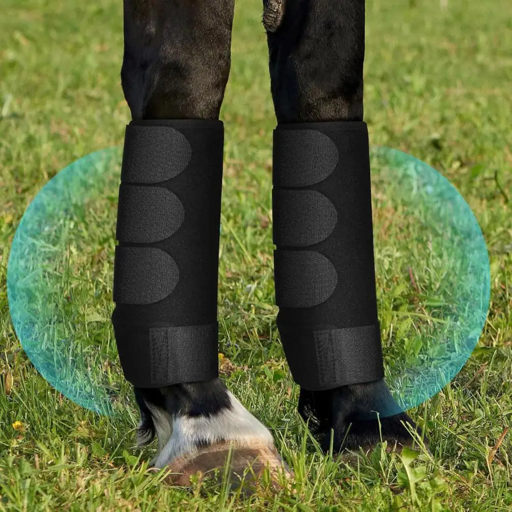 Equipaggiamento protettivo per cavalli fasce per gambe di cavallo equestre per assorbimento degli urti Set di protezione dal fango di 2 sport di cavalli per equestri