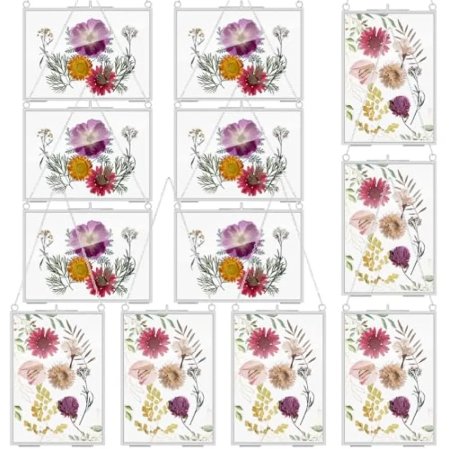 

12 Pack Pressed Flowers Glass Frames, 5 x 7 Inch Brass Hanging Floating Frame with Chain, Double Glass Photo Display for Dried