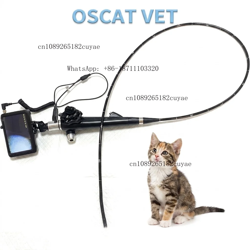 OSCAT Veterinary Equipment EX-40 Factory Supply Cheap Medical Flexible Laryngoscopes Portable Nasopharyngoscope