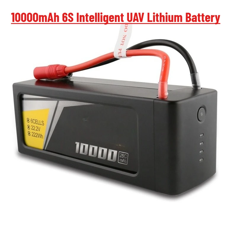 10000Mah 6S Intelli…