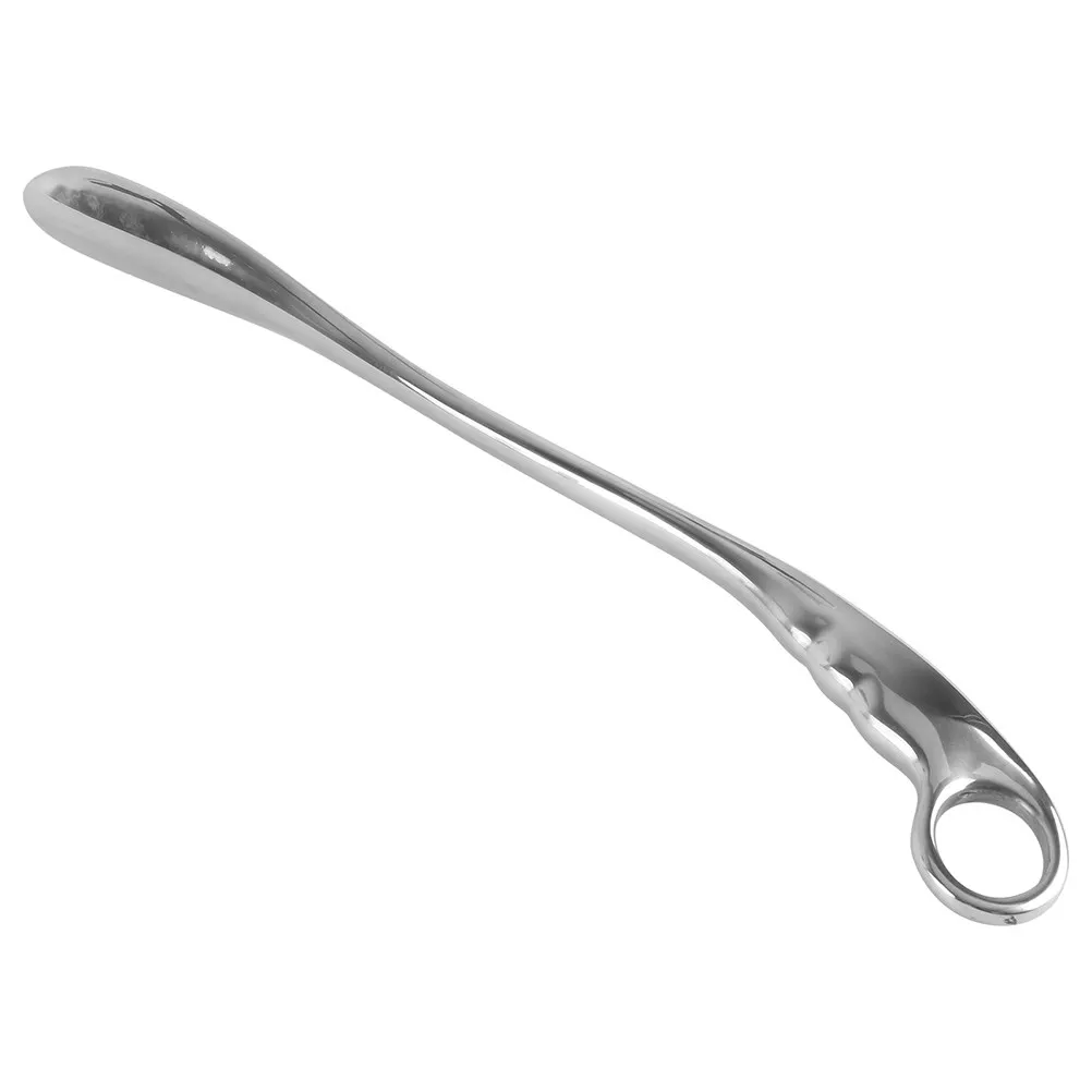 Stainless Steel Shoe Lifter Extra Long Metal Shoehorn Ergonomic Handle Comfortable Use Shoe Wearing Auxiliary Tool for Seniors