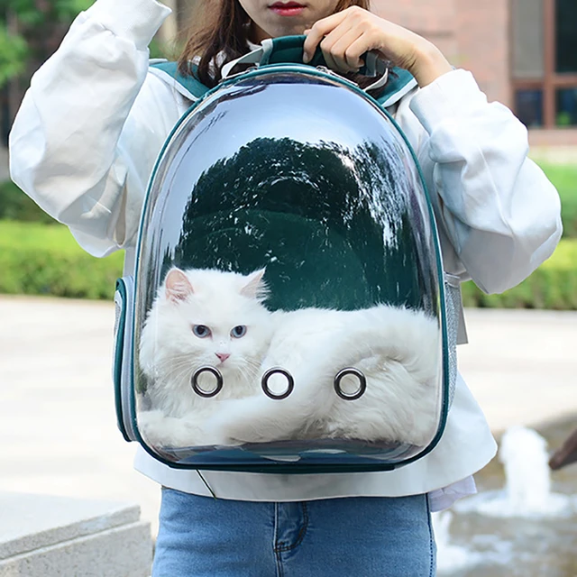 Super Soft Short Plush Bag Cat Butt Wrist selling Small Backpack