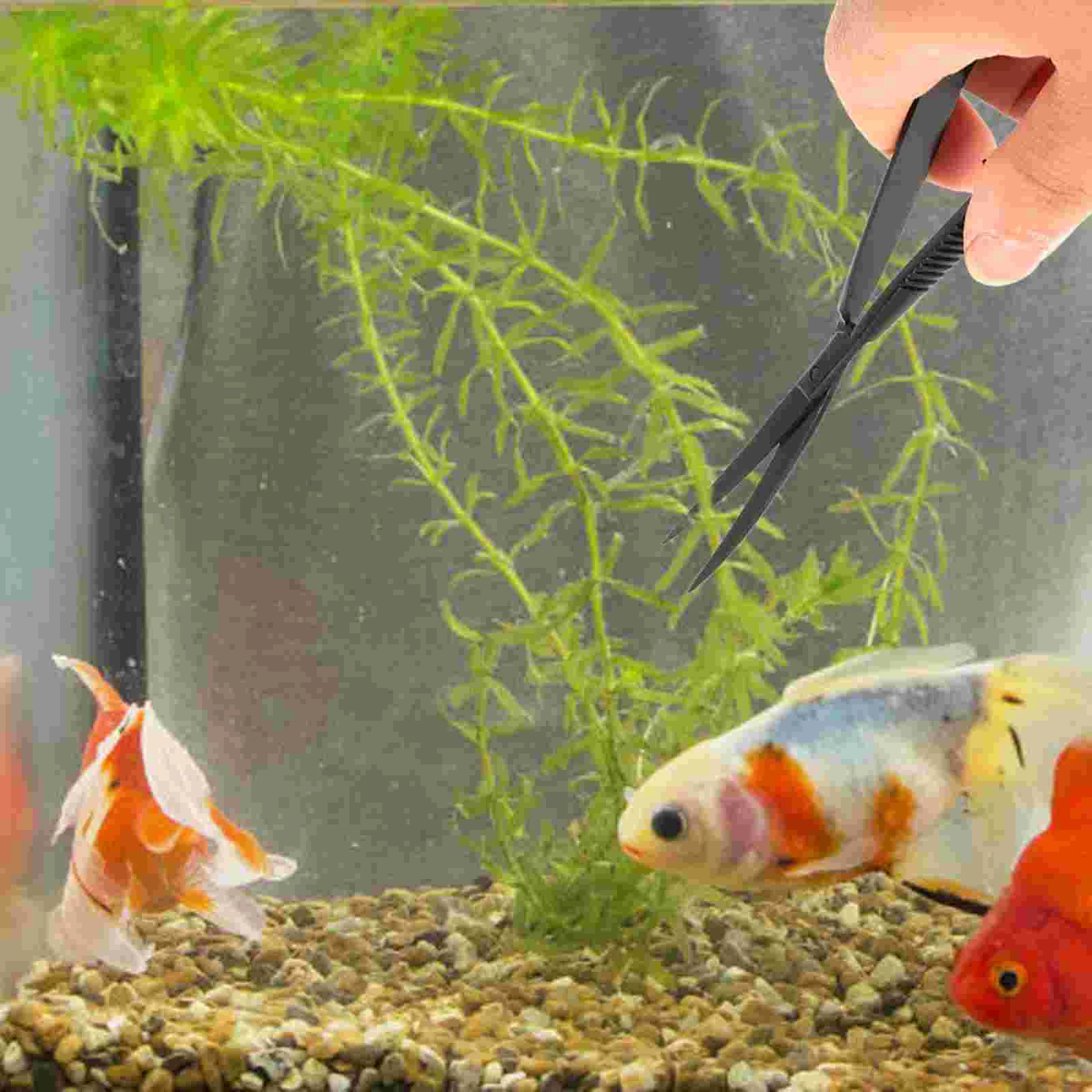 Scraper Aquatic Spring Shears Aquarium Clipper Underwater Plant Scissor Black Lovers