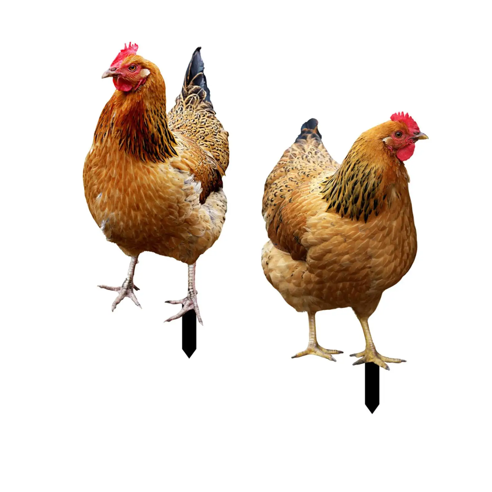 2x Hen Statue Garden Stakes, Chicken Figurines Ground Insert, Realistic Yard Art