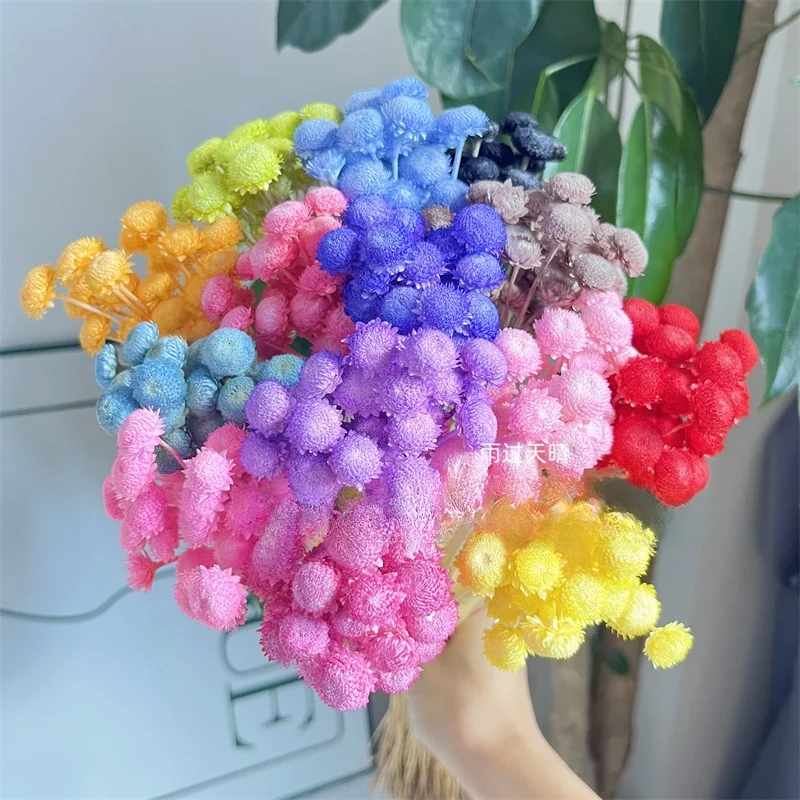 永遠の花diyアクリルガラスカバー家の装飾ひまわり素材あらゆる場面に最適マルチサイズあり