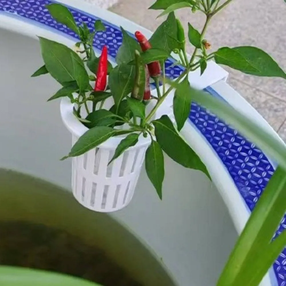 Wall-Mounted Aquarium Plant Basket Plastic Planter Containers Aquatic Plant Holder Water Culture Planter Self Watering
