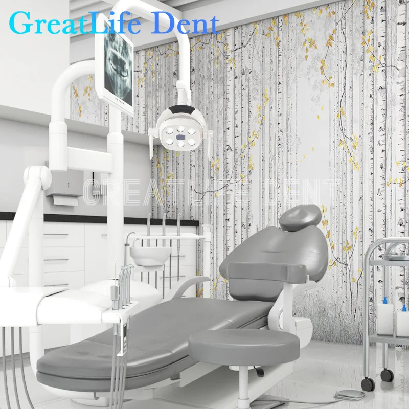 GreatLife Dent 5w 22mm 26mm equipo de silla de unidad Dental, lámpara de inducción sin sombras, luz de operación Dental, lámpara Led