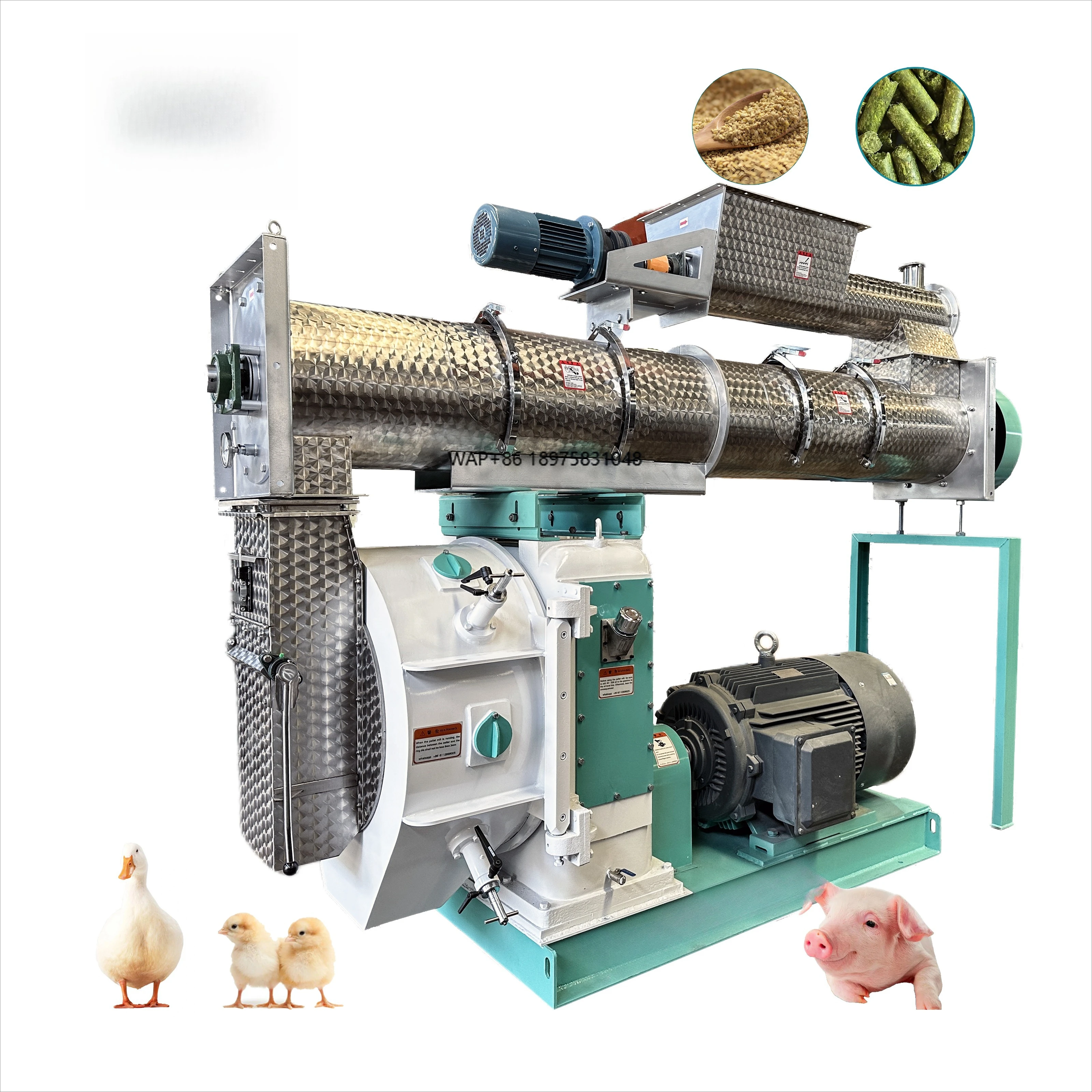 Feed Processing Machine Factory Livestock and Poultry Cattle and Chicken Feed Pelletizer Livestock and Poultry Feed Pelletizer