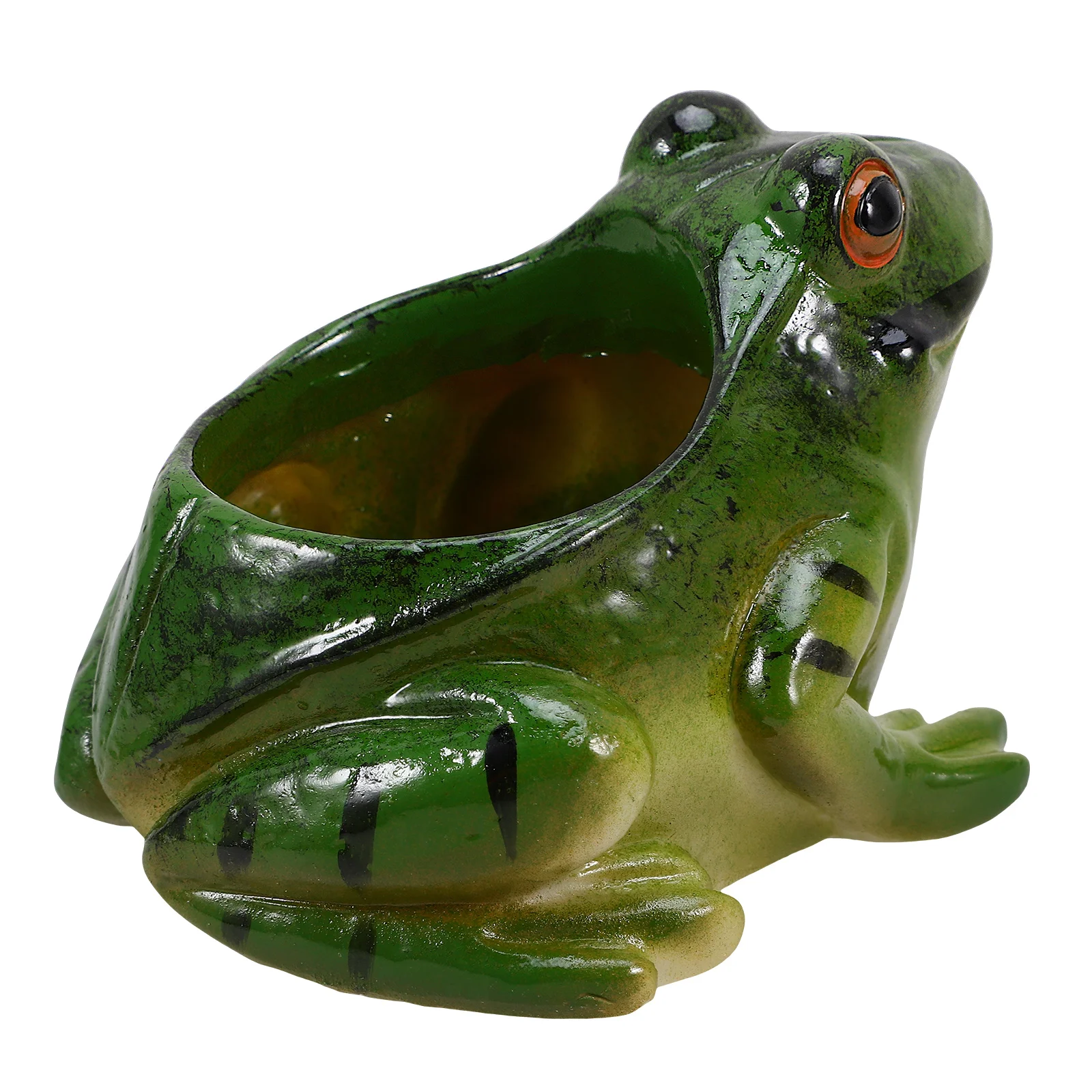 

Household Products Succulent Green Plant Decoration Indoor Plants Quirky Ceramics Pot Frogs