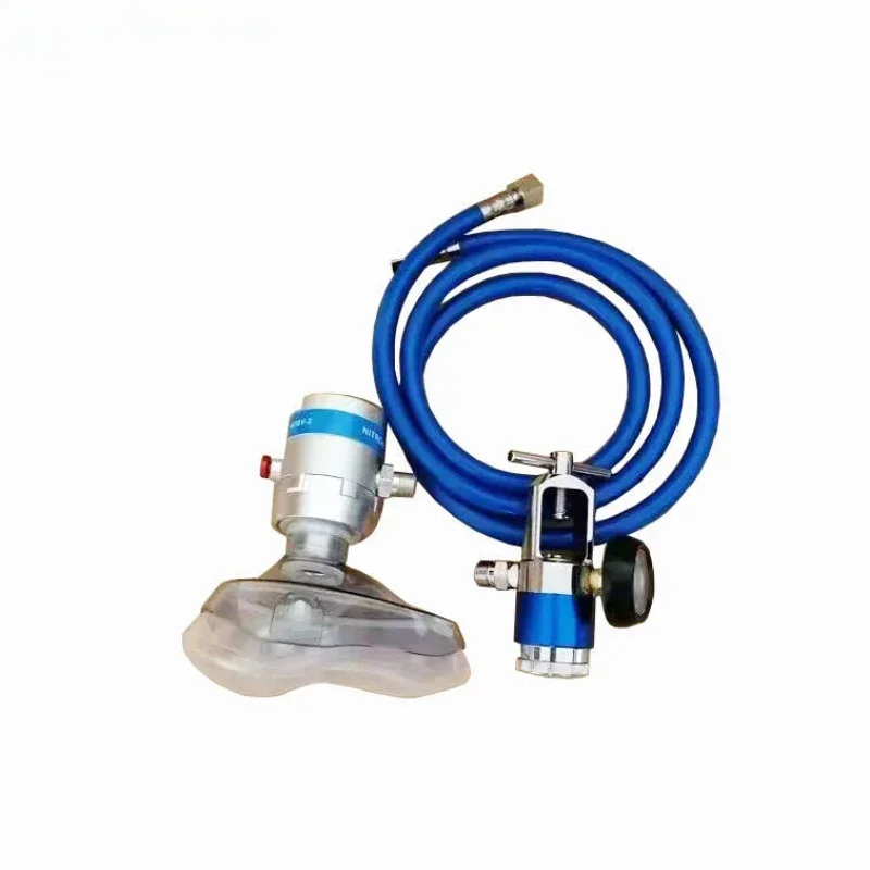 Gas Pressure Regulator Medical oxyge Equipment Demand Valve Safety 2 Years Adjust Medium Temperature Hydraulic Aluminum