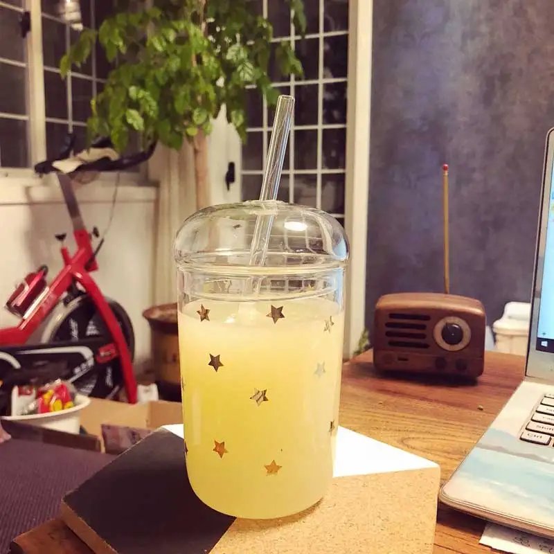 

Transparent Heat Resistant Glass Cup with Lid and Straw Home Coffee Mug Milk Juice Flower Tea Cup Travel Mug Drinking 460ml