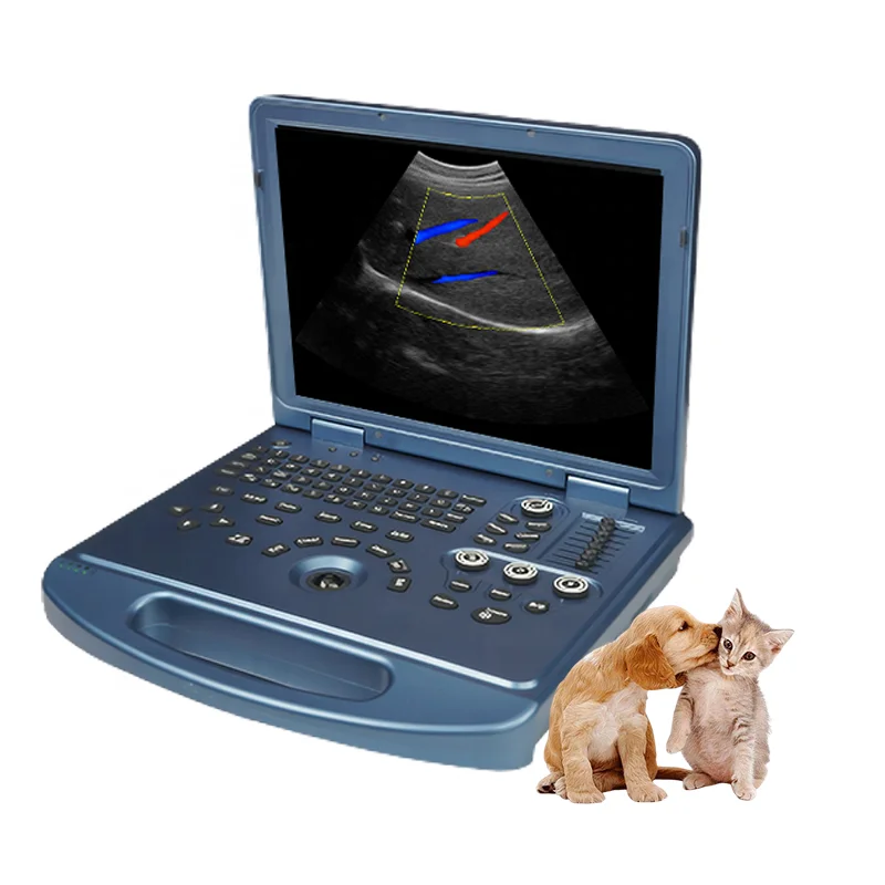 DAWEI Portable Veterinary Ultrasound Dog Pregnancy Ultrasound Scanner for Sale