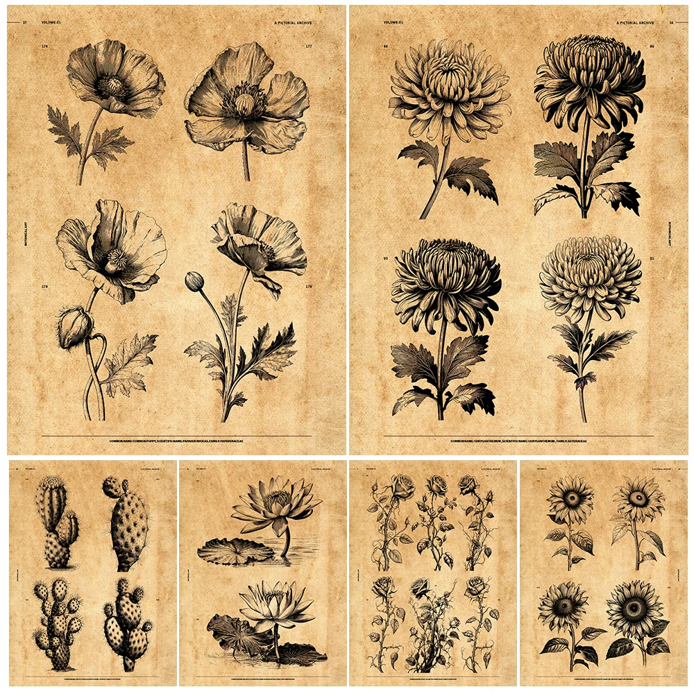 

Prickly Pear,Water Lily,Rose,Freesia,Plant Illustrations Vintage Wall Art Print Flower & Plant Knowledge Atlas Art Poster Print