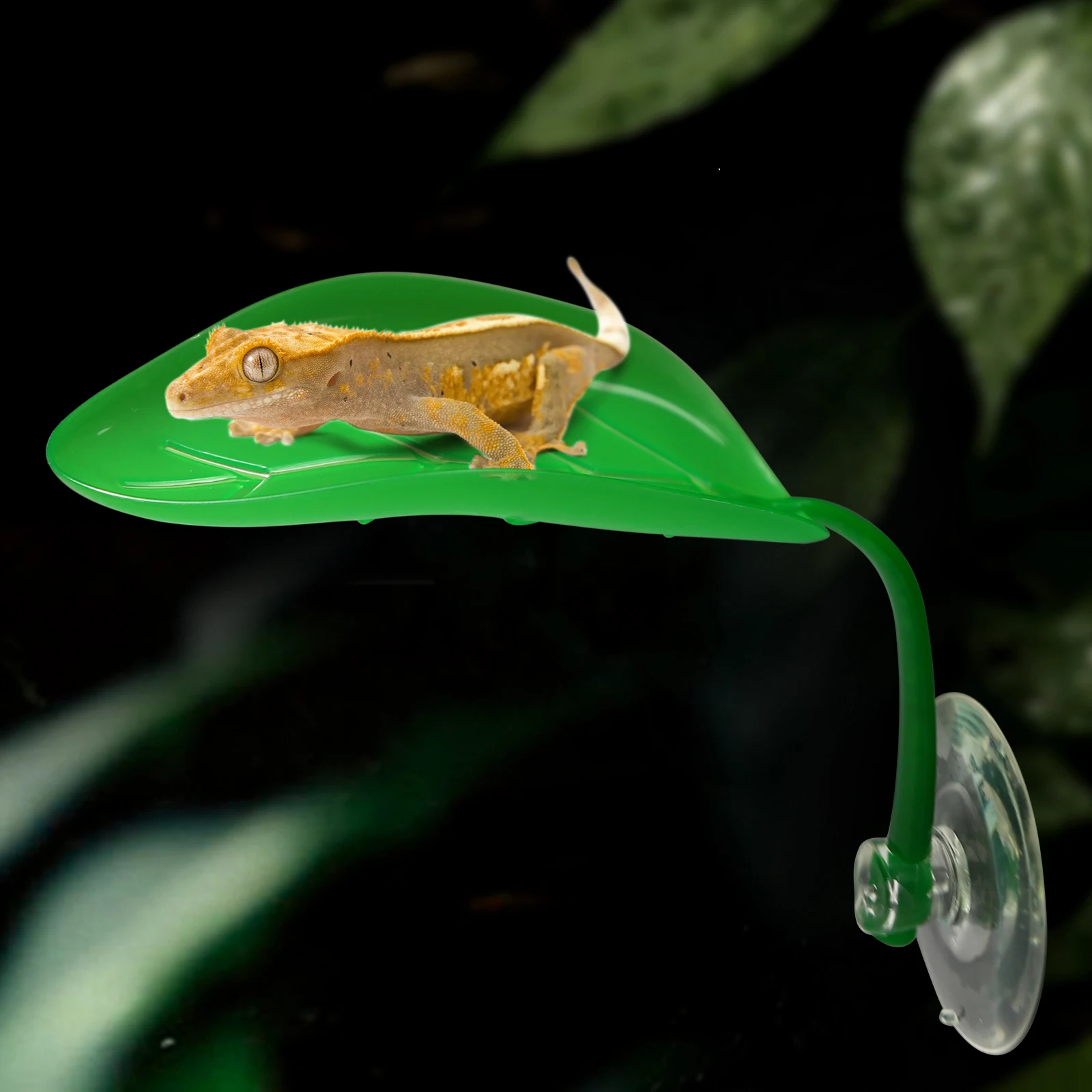 5 قطع، أوراق نباتية مقلدة مع أكواب شفط، مناسبة للجيكو والحرباء والضفادع للتسلق والسكن #2