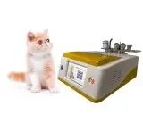 Veterinary B Cure Laser Vet Device for Pet Dog Horse Arthritis Treatment 980 Nm Physical Therapy Equipments