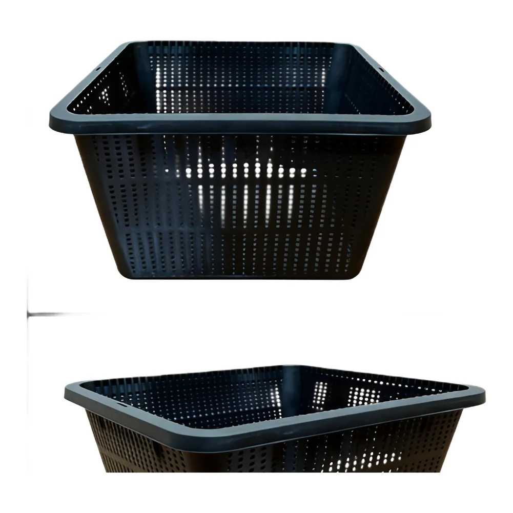 Aquatic Plant Basket Set for Hydroponics Black Plastic Mesh Containers 22.8 by 22.8 by 13.2 Centimeters for Water Garden Use