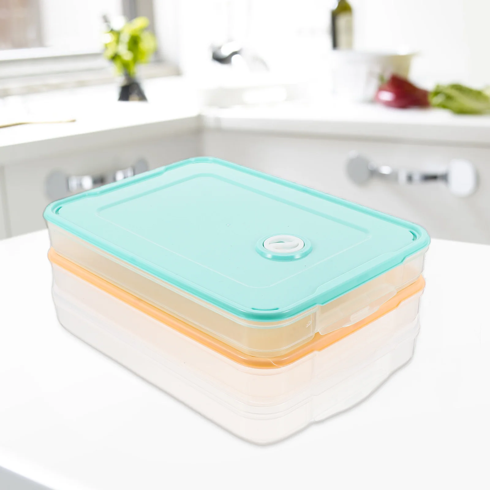

3 Pcs Premium Dumpling Storage Boxes Large Capacity Food Containers Fridge ganizer Freezer Proof BPA Free PP Material