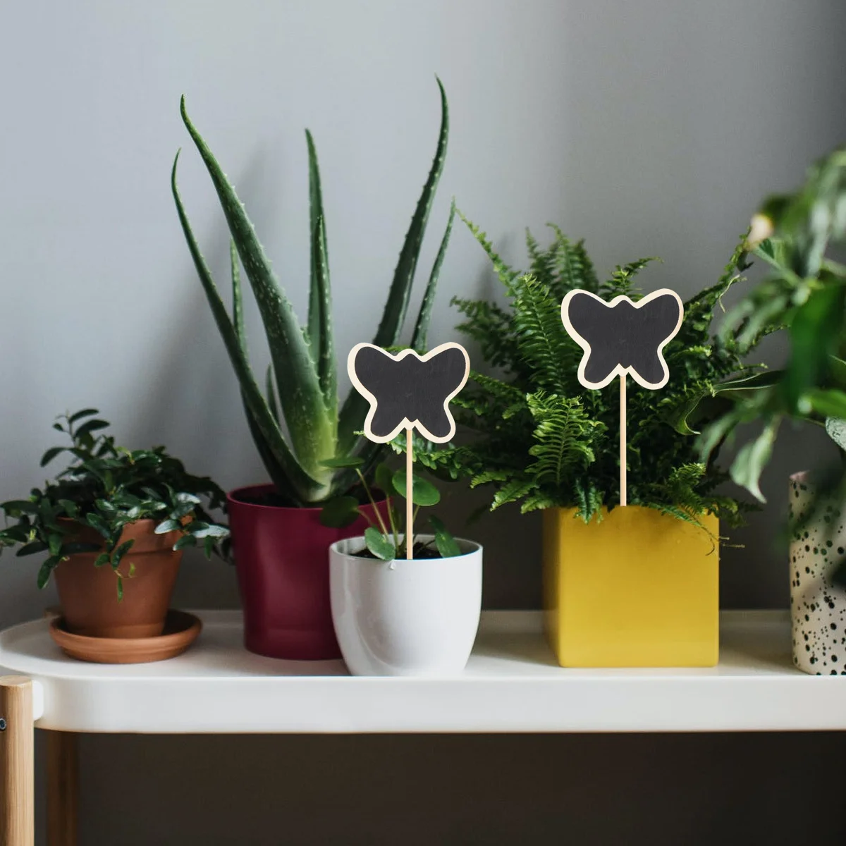 20 قطعة السبورة الخشبية القبعات العالية حديقة علامات النبات العلامات الإبداعية رسالة لوحات الزفاف ديكور السبورة الصغيرة القبعات العالية #4