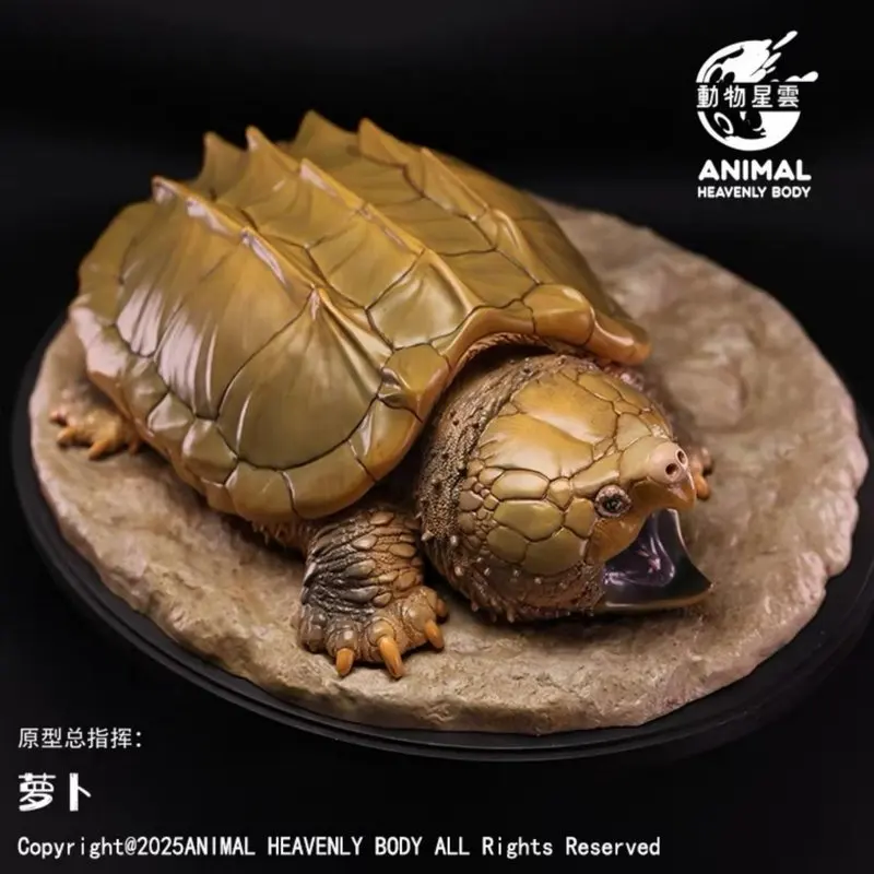 ANIMAL HEAVENLY BODY - Figura Realista de Cocodrilo y Tortuga, Modelo de Escena, Serie de Adornos, 1.ª Estatua de Animal, Regalo Festivo