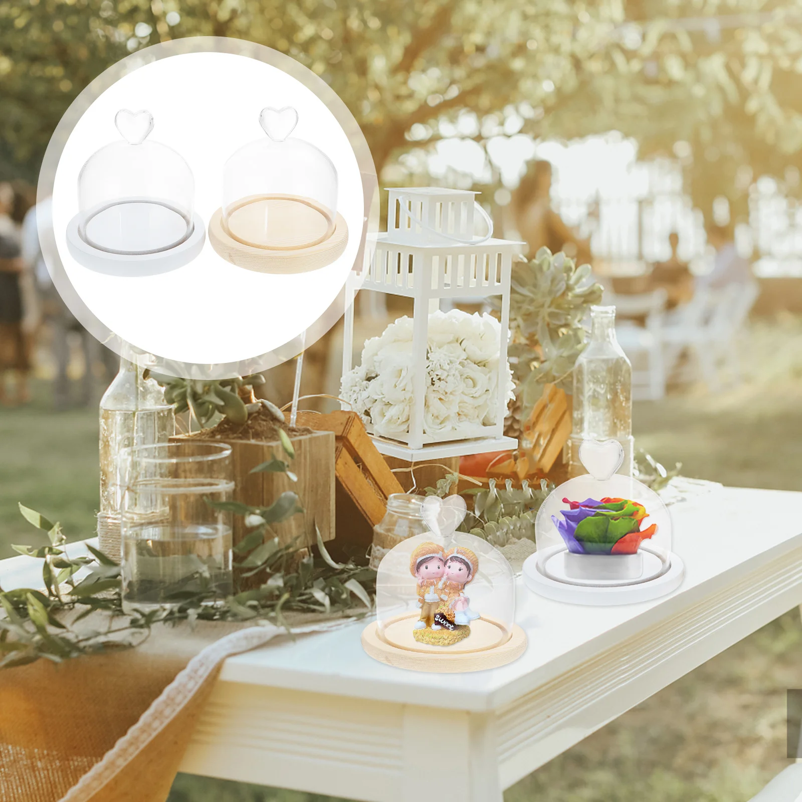 

2Pcs Preserved Flower Glass Dome Creative Decorative Cover Eternal Flower Display for Desktop Shelf Micro Landscape Adornment