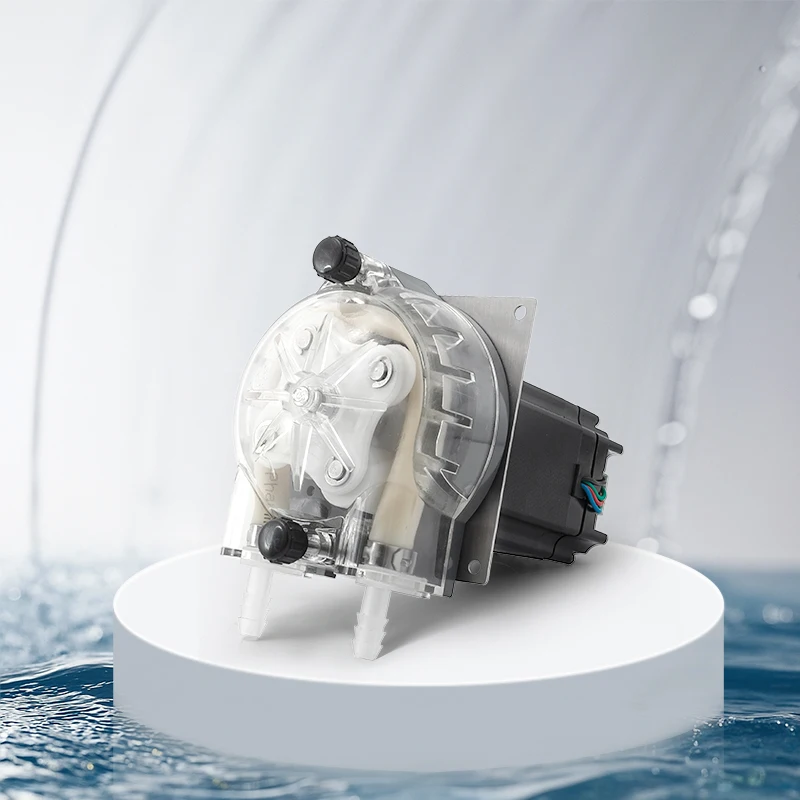 

Hot selling： Adjustable Speed 24V Stepper Motor Peristaltic Pump Manufacturers Hydroponics System Water Dos