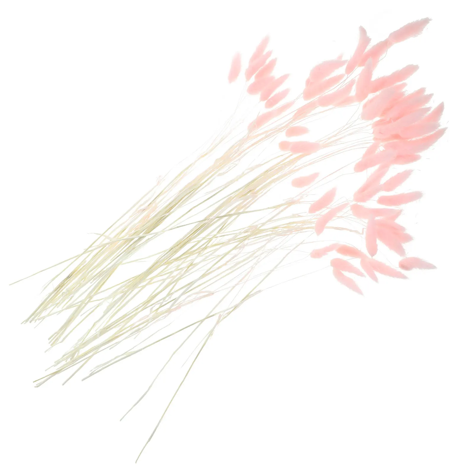 

120Pcs Natural Dried Rabbit Tail Grass Decorative Stems for Wedding Bouquet Home Rustic Floral Arrangement DIY Decoration