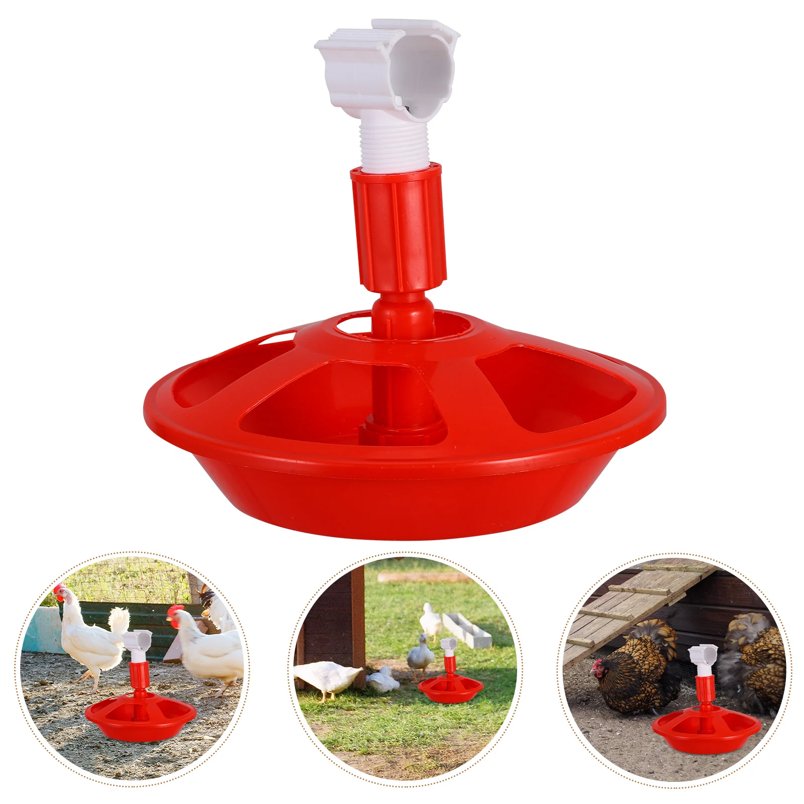 

Automatic Poultry Waterer 2L 3L Chicken Water Dispenser For Chicks Ducks Quail Semi Automatic Farm Bird Feeder Leakproof Grid